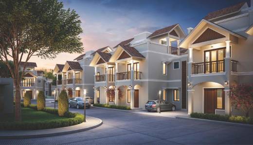 glare Elevation Elevation