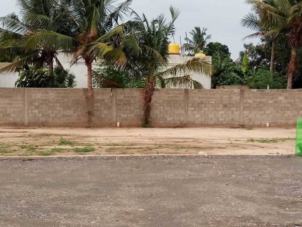  ellaiamman-nagar Images for mainOther