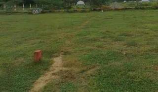 Project Image Project Image