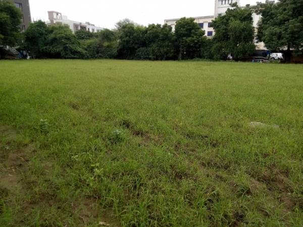  pearl Landscaped Gardens