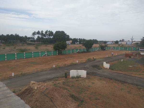 Images for mainOther Images for mainOther