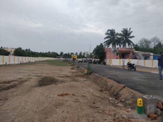 Images for Project Images for Project