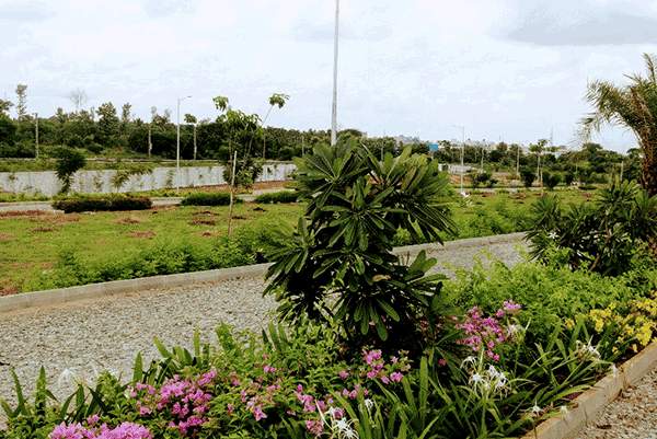 cauvery enclave Landscape Garden and Tree Planting