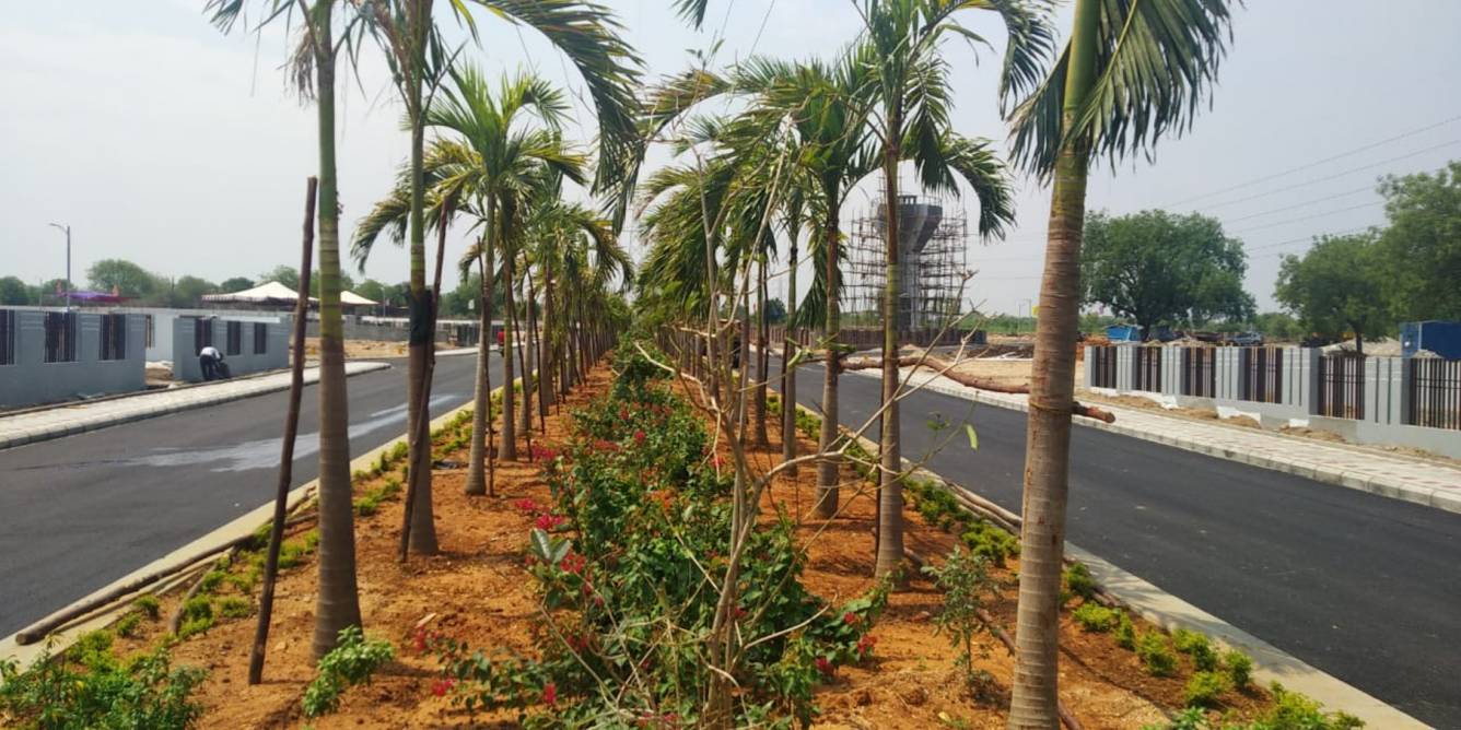 Images for mainOther