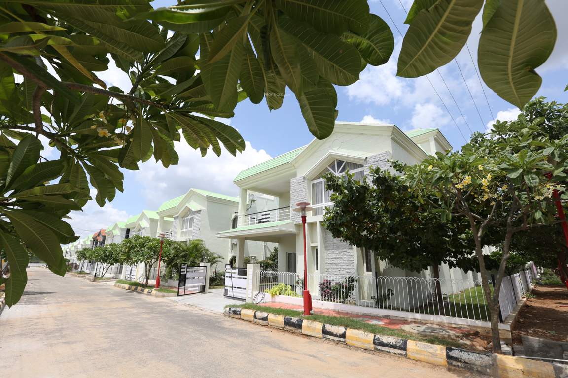  bhusatva ph iv Elevation