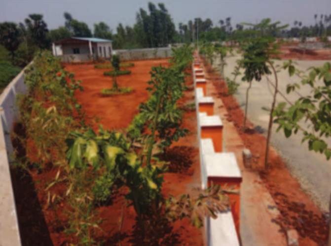 Images for mainOther