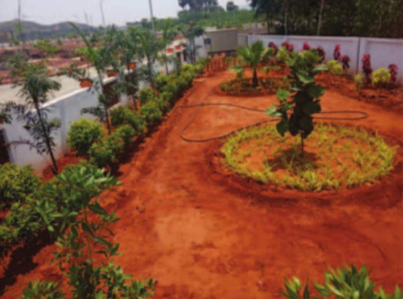 Images for mainOther