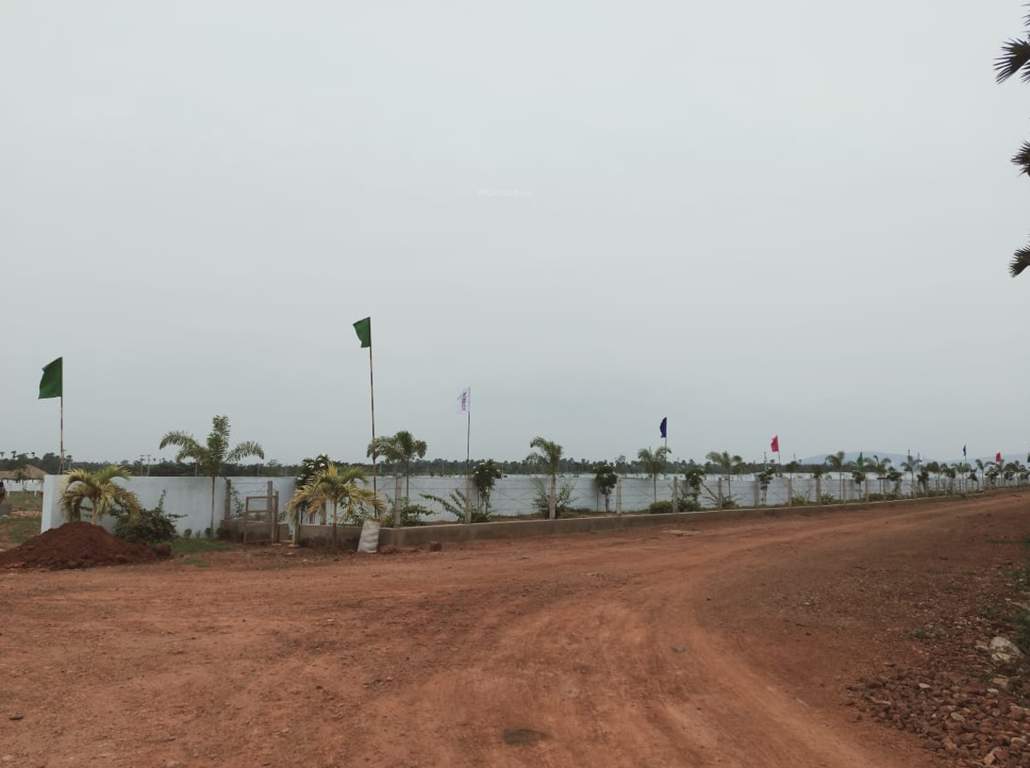 Images for mainOther