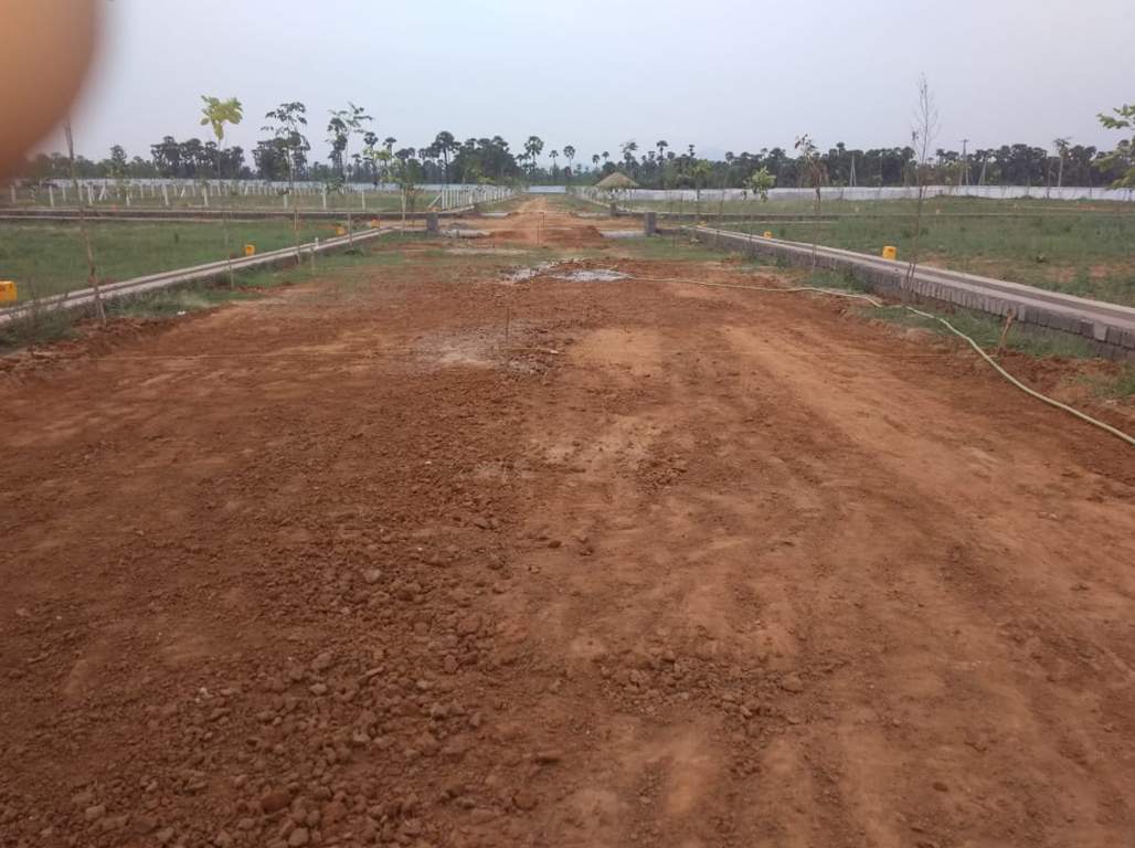 Images for mainOther