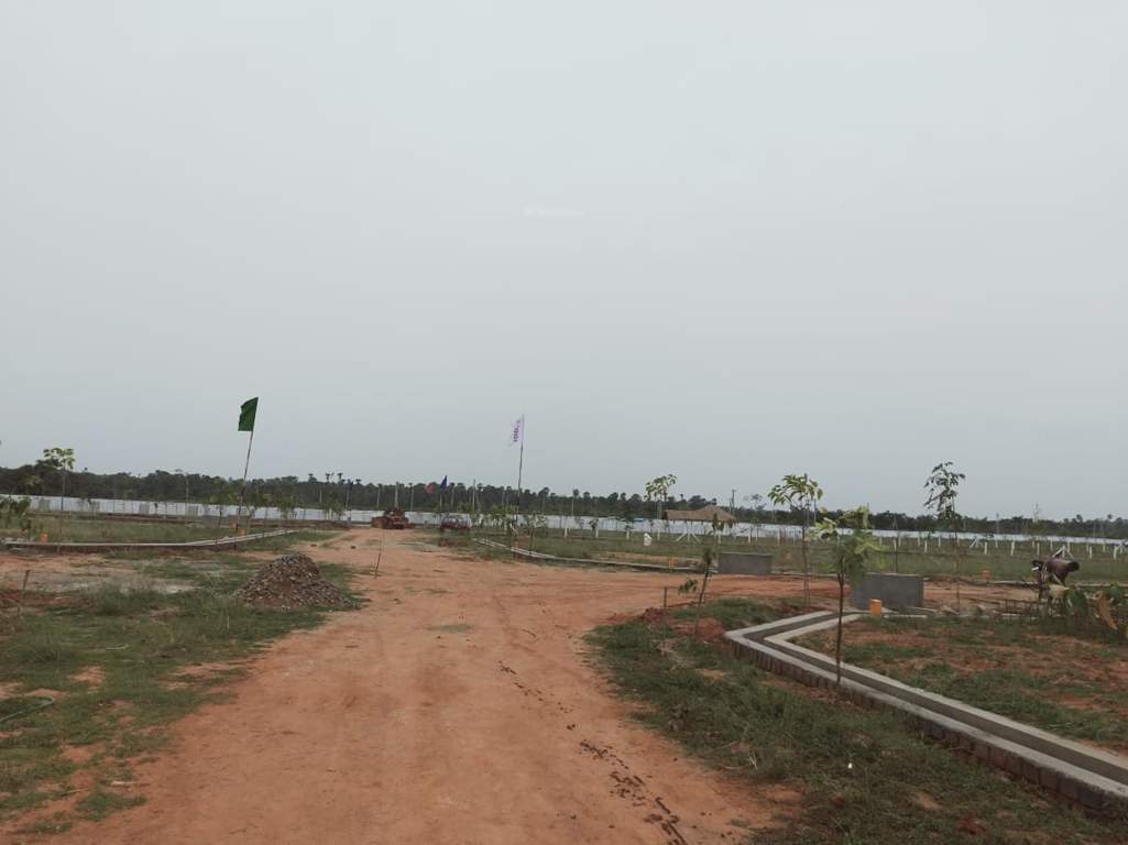 Images for mainOther