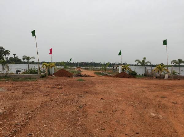 Images for mainOther