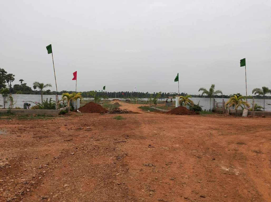 Images for mainOther