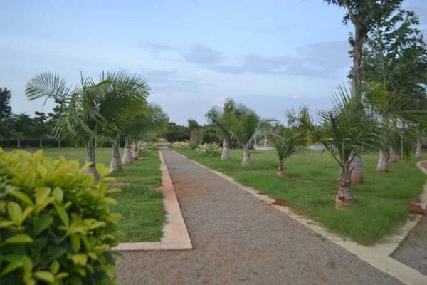  grand-1lp Internal Roads