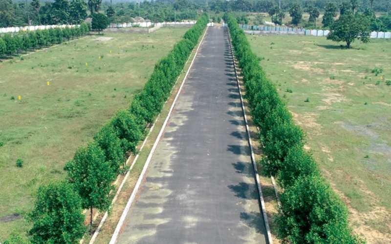  luckie township Others