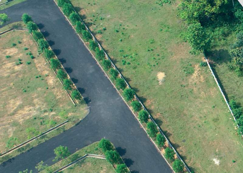  luckie township Others