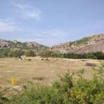  195-2017-hro-h1 Elevation