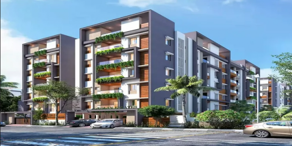 Elevation elegant Elevation