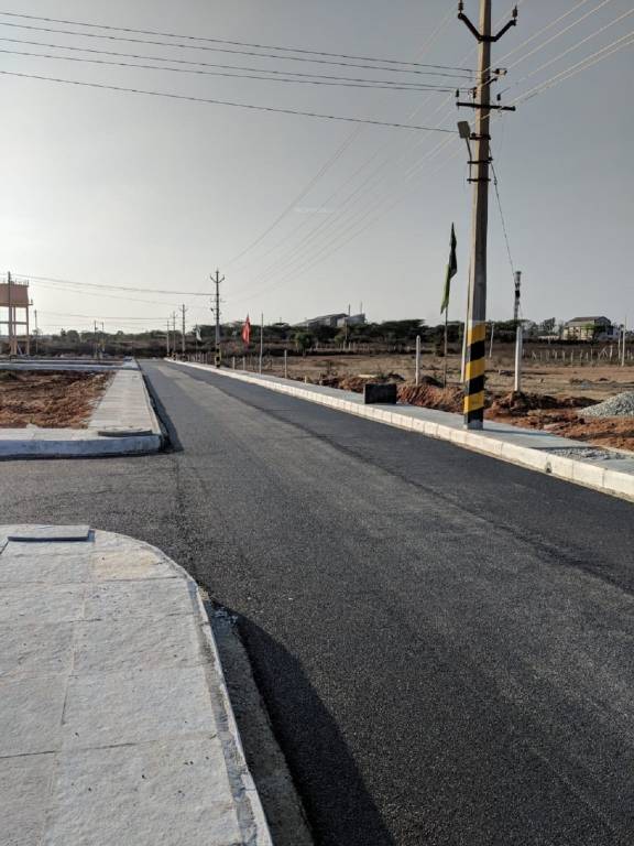  silver leaf Internal Roads