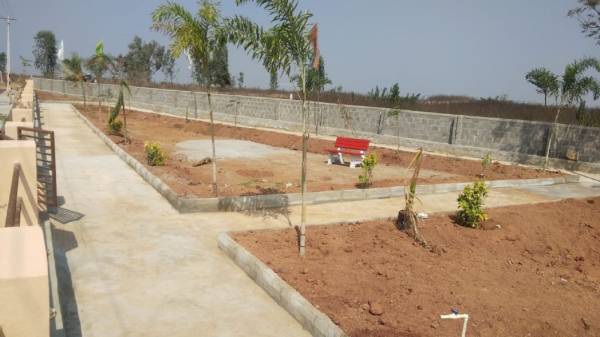  silver-leaf Senior Citizen Siteout