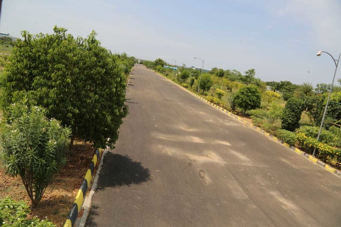 Images for mainOther