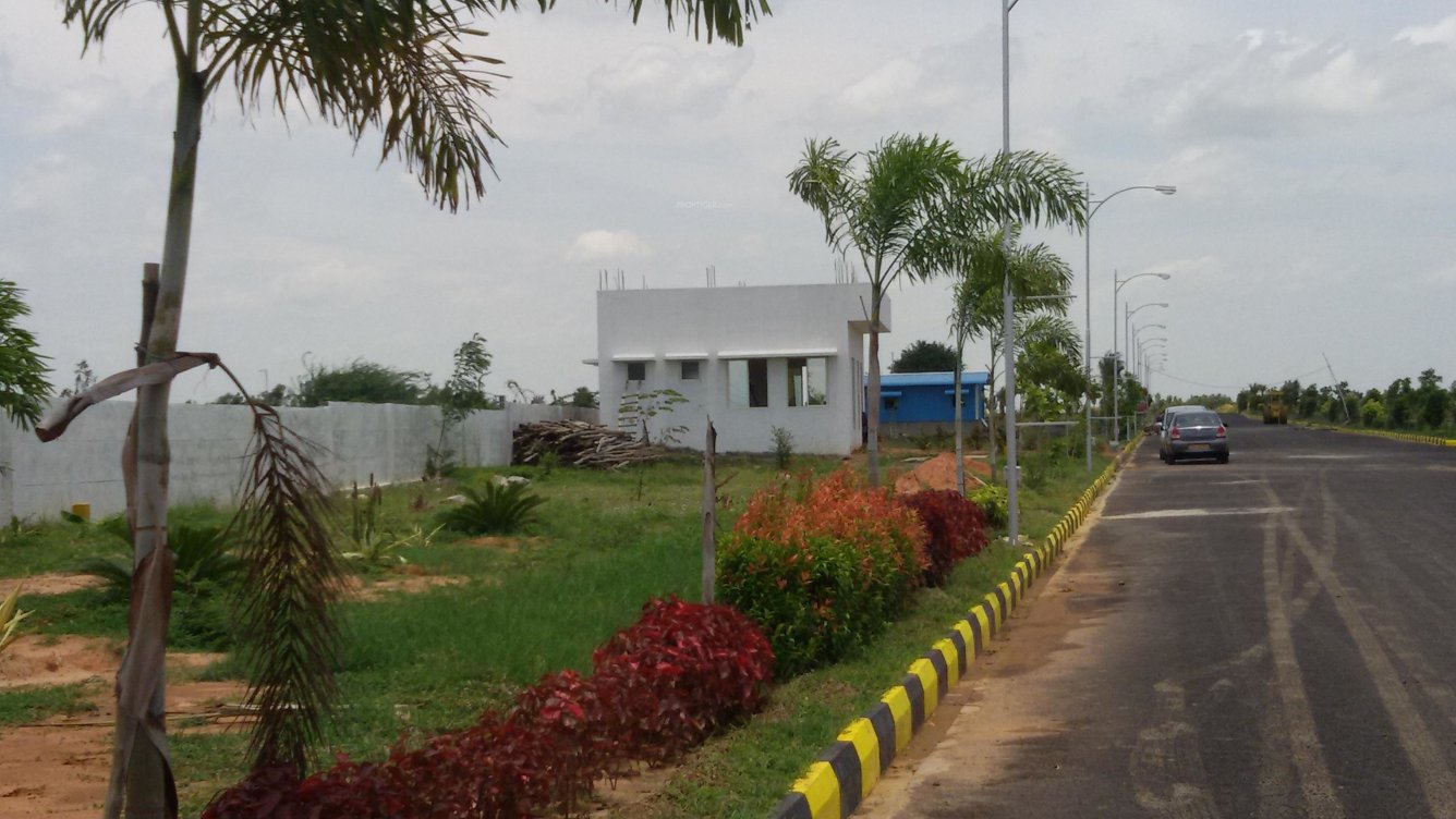 Images for mainOther