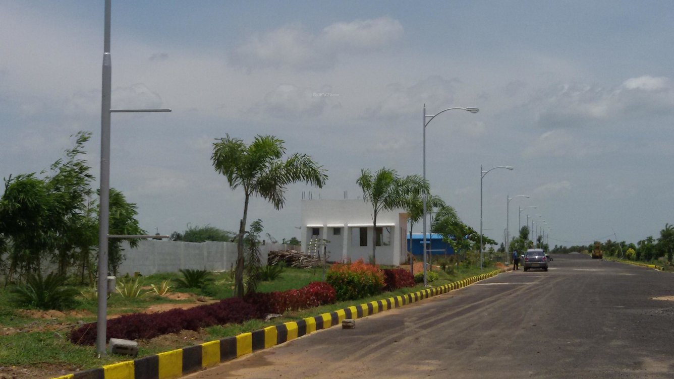 Images for mainOther