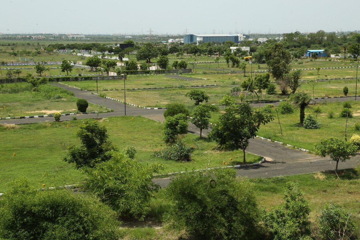 Images for mainOther