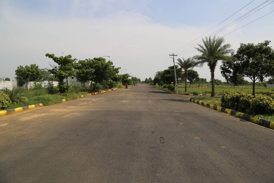 Images for mainOther