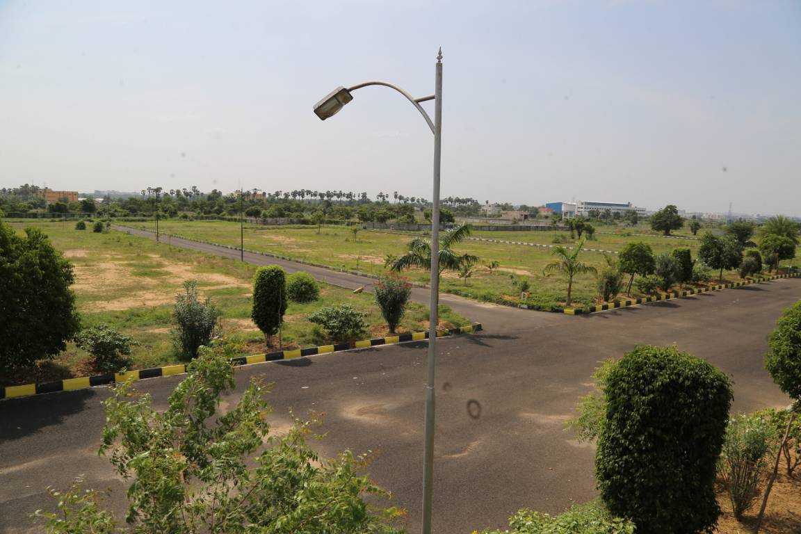 Images for mainOther