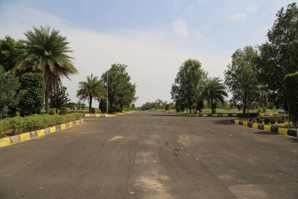 Images for mainOther