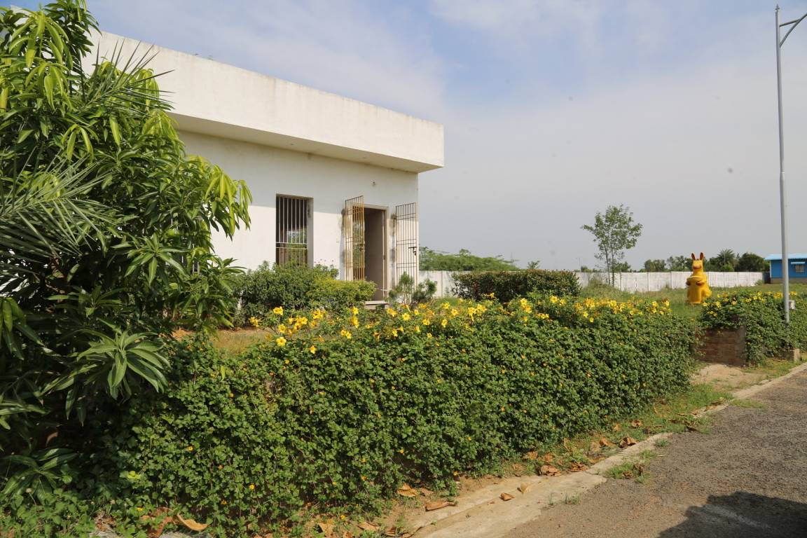 Images for mainOther