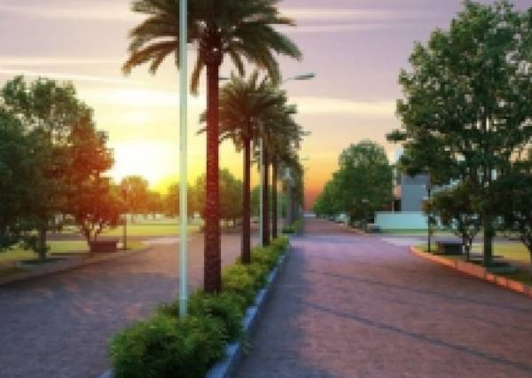  urban-meadows Others