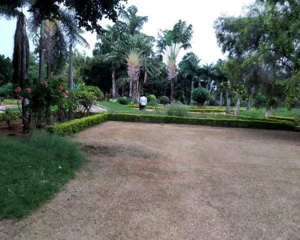  urban meadows Plot