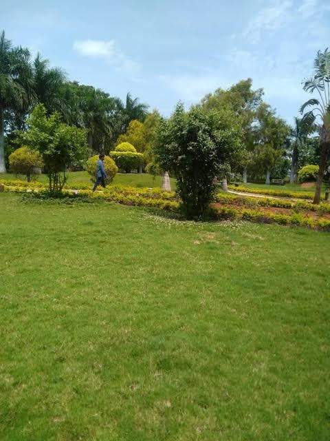  urban meadows Plot