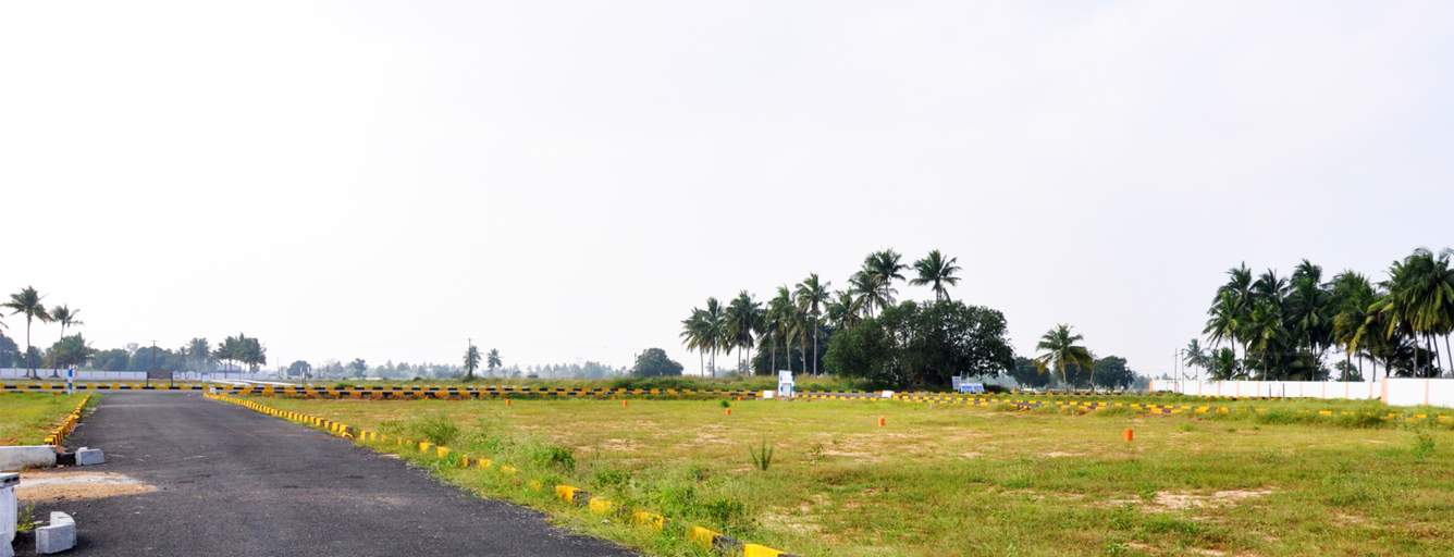 Images for mainOther