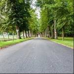  magnets-iii Elevation