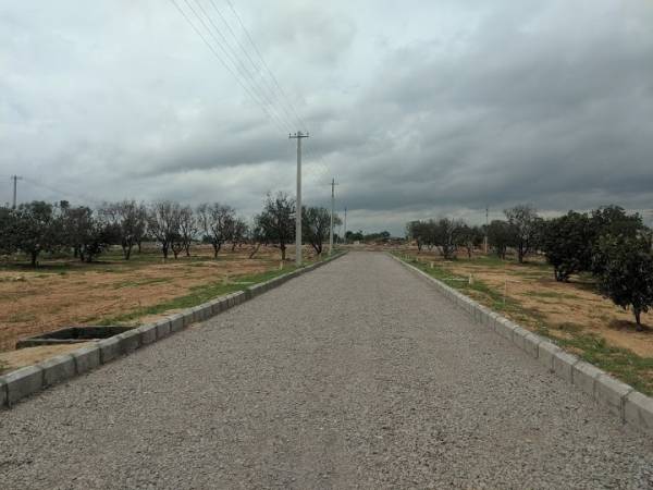  gardenia-ventures Internal Roads