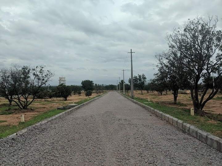  gardenia ventures Internal Roads