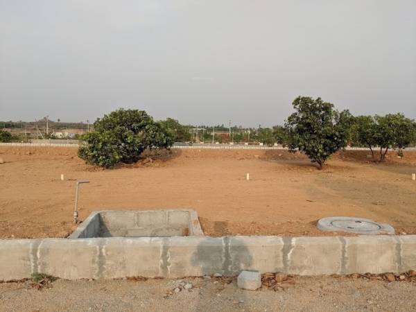  gardenia-ventures Plot