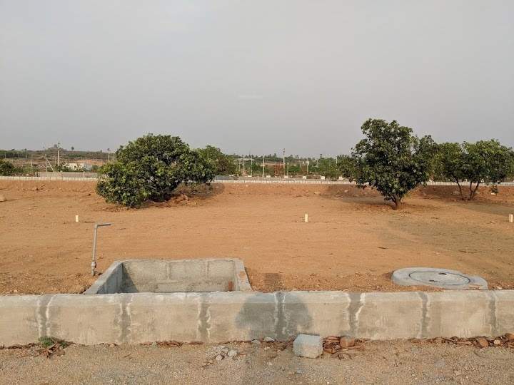  gardenia ventures Plot