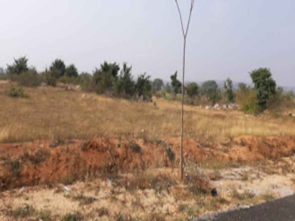  204 2017 hro h1 Elevation