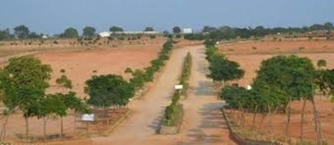  lr-tranquillity Elevation