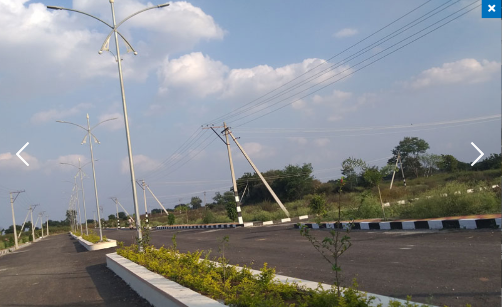  brown valley Elevation