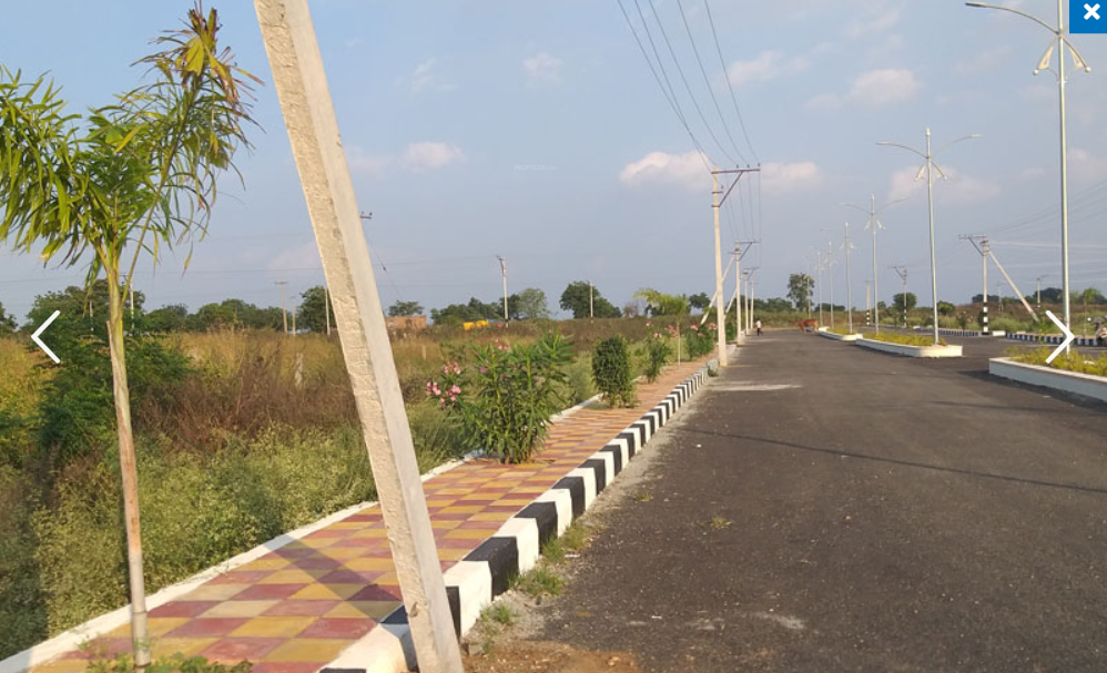  brown valley Elevation