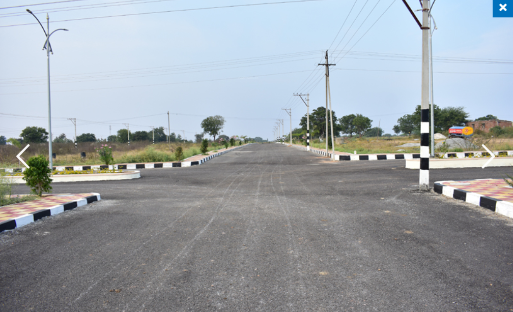  brown valley Elevation