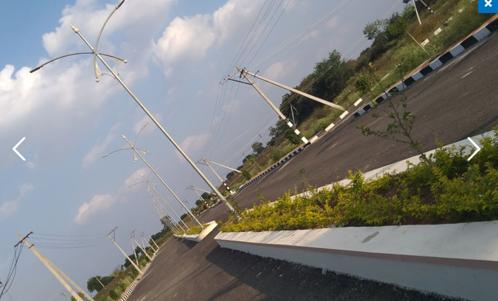  brown valley Elevation