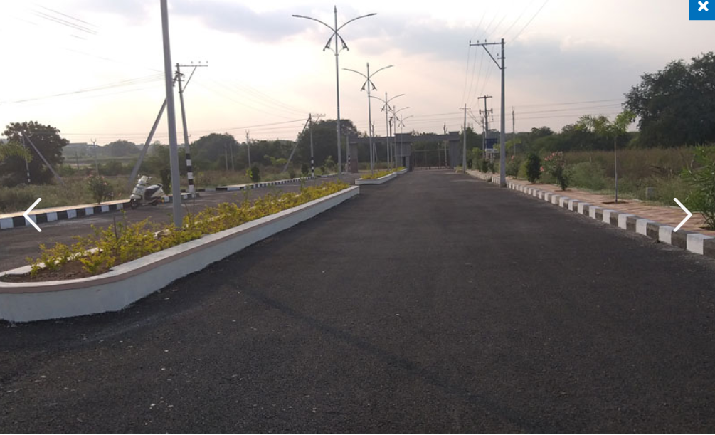  brown valley Elevation