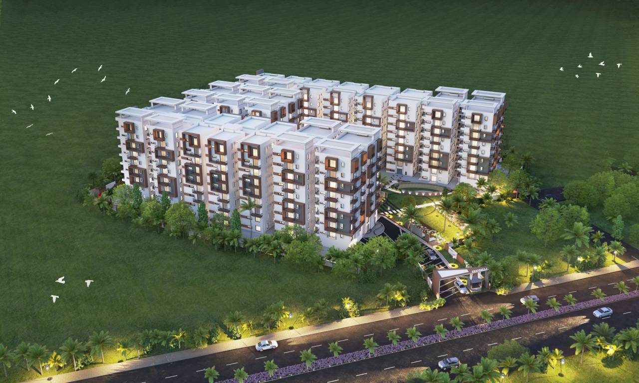 trendilla Images for Project