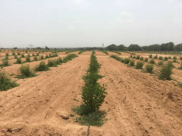 Images for Project Images for Project