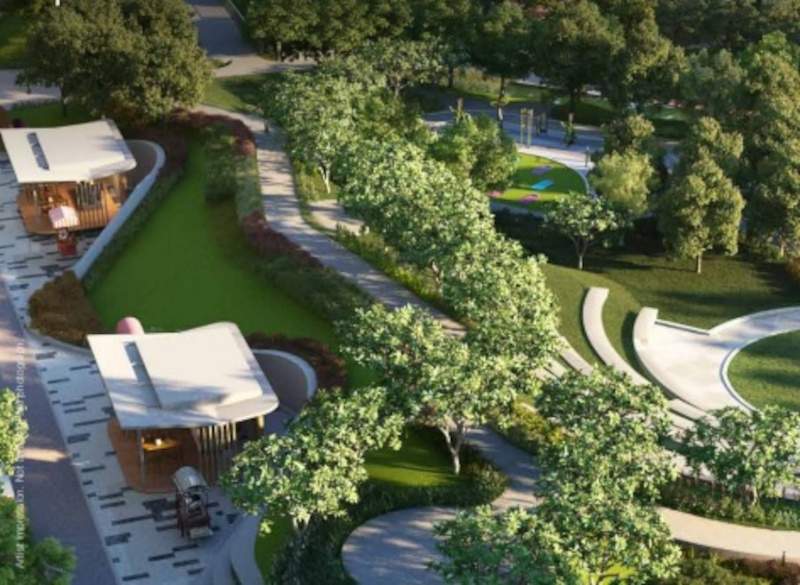  hillside 1 Landscape Garden and Tree Planting